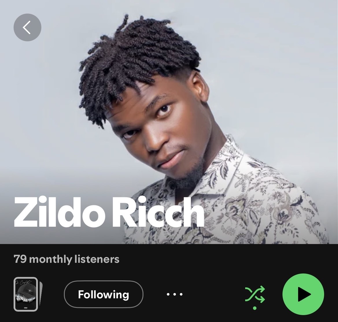 Zildo Ricch — Conta de Artista do Spotify